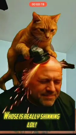 Bugs bunny barber