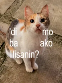Multo