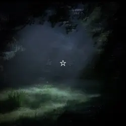 ⊹˚𖦹🎧🍃🌳𖦹˚⊹