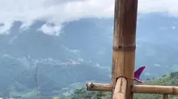 Mẫu buồn 🥲