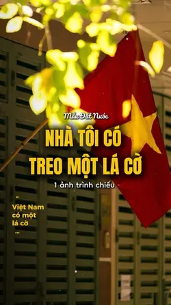 VN có 1 lá cờ