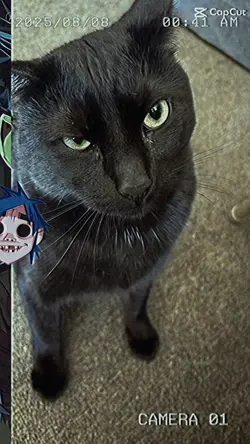 GORILLAZ 