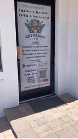 Cabybara