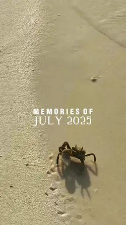 MEMORIES OF JULY