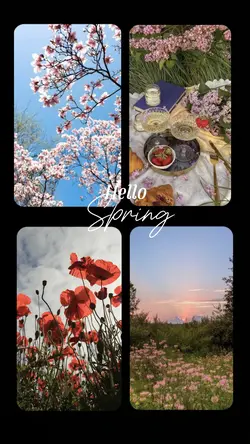 Hello Spring 
