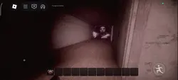 PETA PETA 