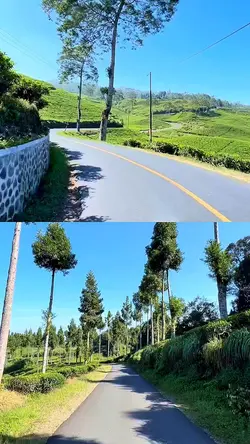 2 video collage