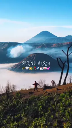 spring vibes