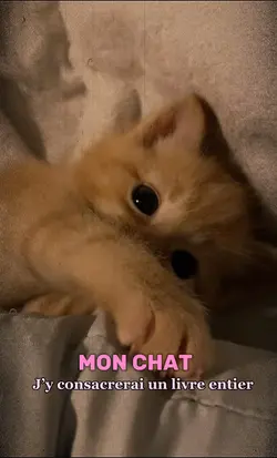 Mon chat