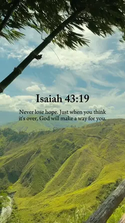 Never lose hope