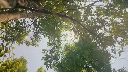 Badai Tuan