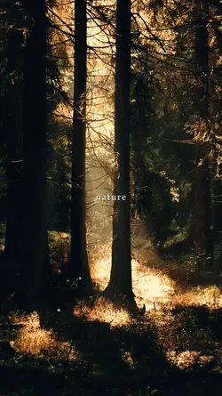 nature, therapy