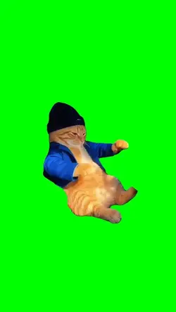 Cat jamming out