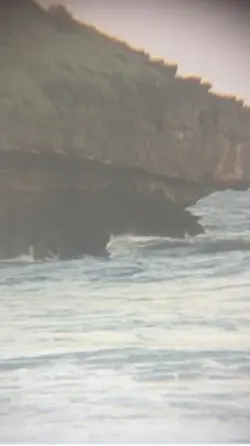 sinematik pantai