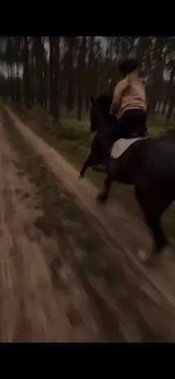 gallop 