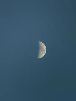 I really like a moon