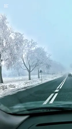 viral winter road