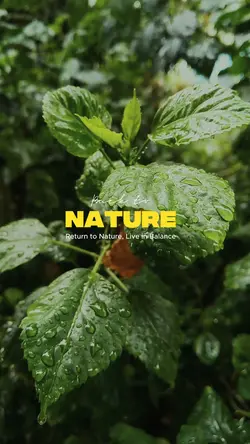 Back to Nature