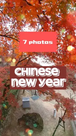 Chinese new yea