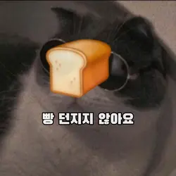 stop 제이미!
