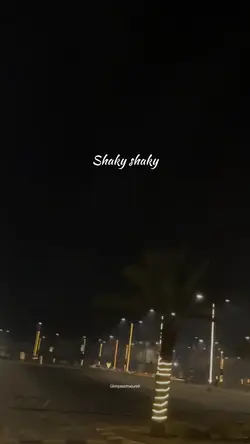 Shaky Shaky 
