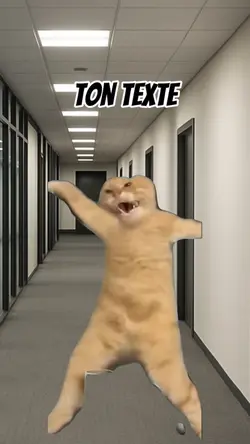 Le chat fou