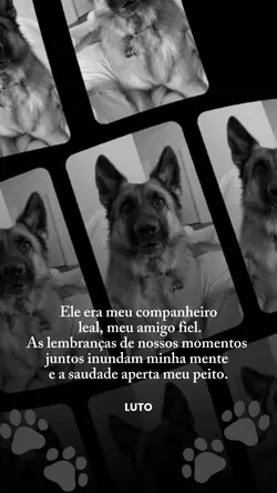 LUTO MEU PET SE FOI