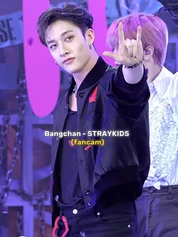 FANCAM