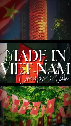 MADE IN VIET NAM 