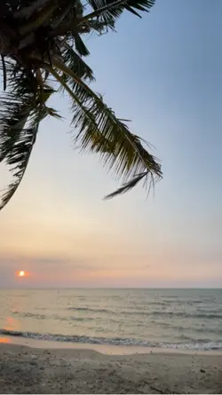 🌴🌴