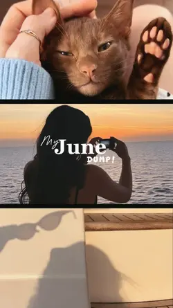dumptemplate