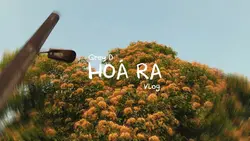Hoá ra... Grey D