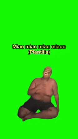 Miau miau miau miauu