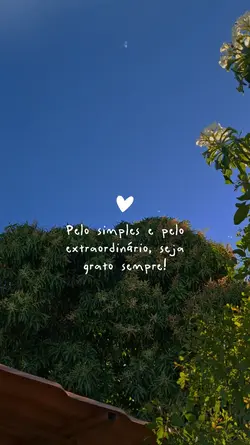 Seja Grato 