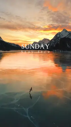 Sunday Stay Free