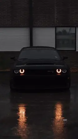 DODGE🐈‍⬛
