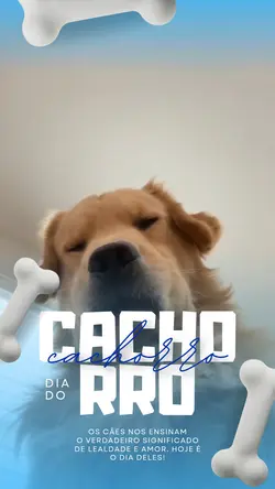 dia do cachorro