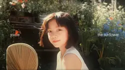 sunflower slowmo