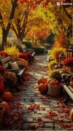 Thanksgiving