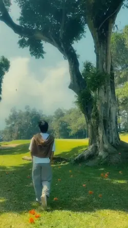 Ghibli filter