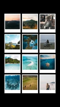 12 pics