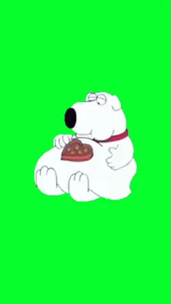 fat dog