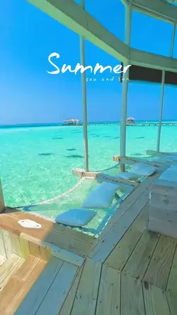 Summer vlog