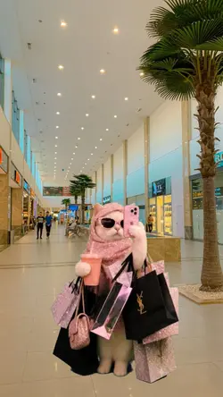 rich cat