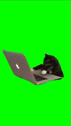 playing on a laptop