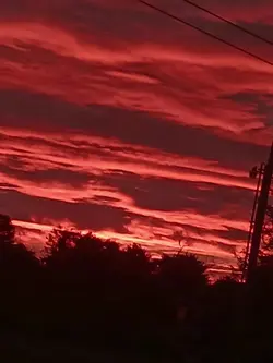 Edit