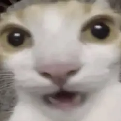 No
