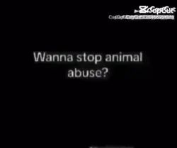 Animal abuse 😢