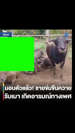 ตลกๆ