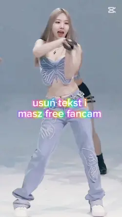 free fancam 